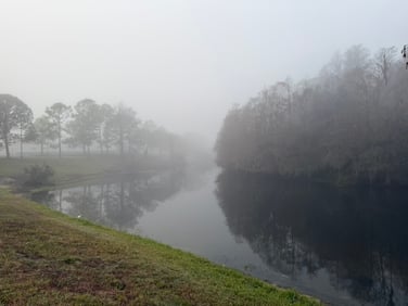 9928A201-C5F8-4A89-9A83-D3306B6999D3_1_105_c