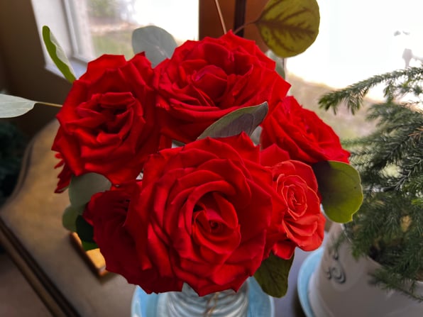 roses