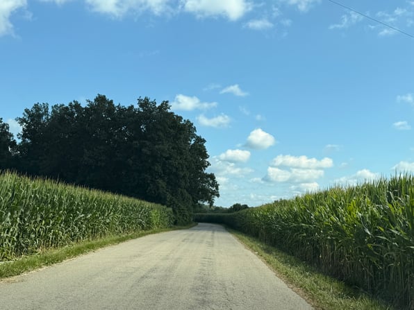 Roadway through