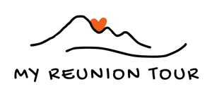 My Reunion Tour Logo 750x350 (1)